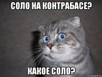 соло на контрабасе? какое соло?