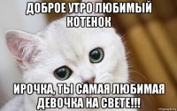 доброе утро любимый котенок ирочка, ты самая любимая девочка на свете!!!