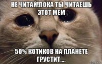 не читай!пока ты читаешь этот мем 50% котиков на планете грустит....