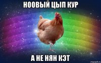 ноовый цып кур а не нян кэт