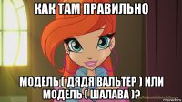 как там правильно модель ( дядя вальтер ) или модель ( шалава )?