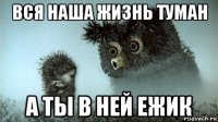 вся наша жизнь туман а ты в ней ежик