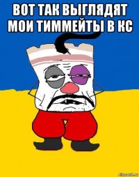 вот так выглядят мои тиммейты в кс 