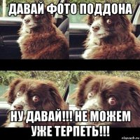 давай фото поддона ну давай!!! не можем уже терпеть!!!