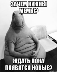 зачем нужны мемы? ждать пока появятся новые?