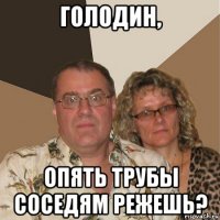 голодин, опять трубы соседям режешь?