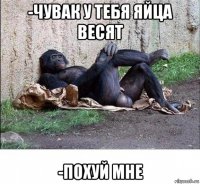 -чувак у тебя яйца весят -похуй мне