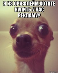 я из орифлейм.хотите купить у нас рекламу? 