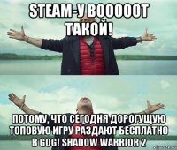 steam-у вооооот такой! потому, что сегодня дорогущую топовую игру раздают бесплатно в gog! shadow warrior 2