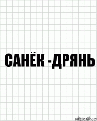 санёк -дрянь