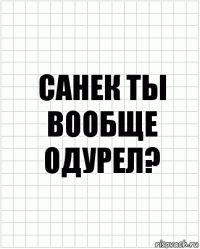 санек ты вообще одурел?