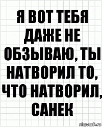 я вот тебя даже не обзываю, ты натворил то, что натворил, санек