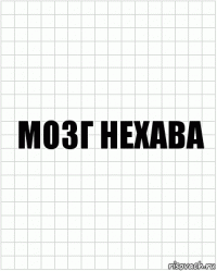 мозг нехава