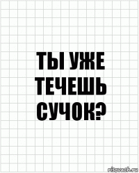 Ты уже течешь сучок?