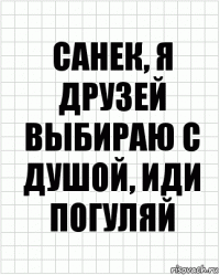 санек, я друзей выбираю с душой, иди погуляй