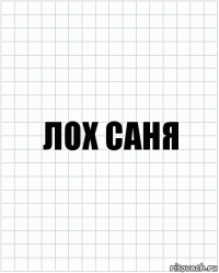 лох саня