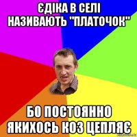 єдіка в селі називають "платочок" б0 постоянно якихось коз цепляє