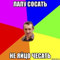 лапу сосать не яйцо чесать