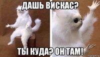 дашь вискас? ты куда? он там!