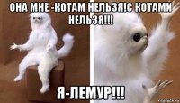 она мне -котам нельзя!с котами нельзя!!! я-лемур!!!