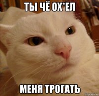 ты чё ох*ел меня трогать