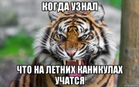 когда узнал что на летних каникулах учатся