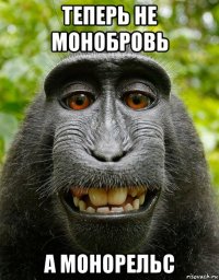 теперь не монобровь а монорельс