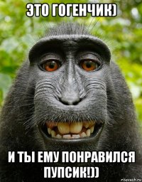 это гогенчик) и ты ему понравился пупсик!))