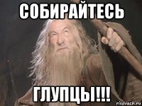 собирайтесь глупцы!!!