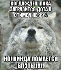 когда ждёш пока загрузится дота в стиме уже 99% но! винда ломается блэть!!!!!!