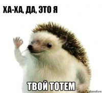  твой тотем