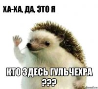  кто здесь гульчехра ???