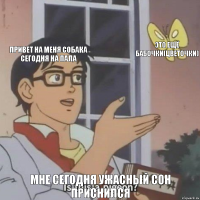 Привет на меня собака сегодня на пала Это ещё бабочки(цветочки) Мне сегодня ужасный сон приснился