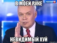 в моей руке невидимый хуй