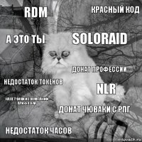 RDM NLR SOLORAID недостаток часов недостаток токенов красный код донат чюваки с рпг а это ты налётчики из компании арифлэем донат профессии