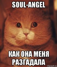 soul-angel как она меня разгадала