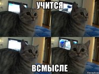 учится всмысле