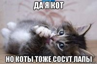 да я кот но коты тоже сосут лапы