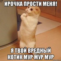 ирочка прости меня! я твой вредный котик мур мур мур