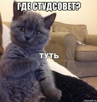 где студсовет? 