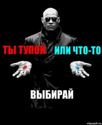 Ты тупой Или что-то ВЫБИРАЙ