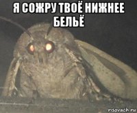 я сожру твоё нижнее бельё 