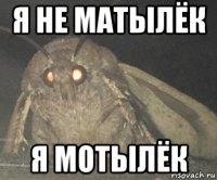 я не матылёк я мотылёк