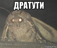 дратути 