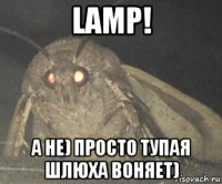 lamp! а не) просто тупая шлюха воняет)