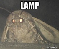 lamp 