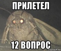 прилетел 12 вопрос