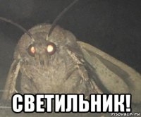  светильник!