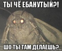 ты чё ебанутый?! шо ты там делаешь?