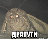  дратути